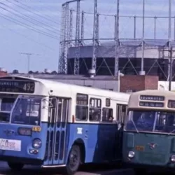 Free Talk: Kingsgrove’s story, the quiet suburb that became headline news in 1956; Saturday, 19 September 2026